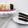 Birthday Cake slice gal2