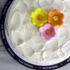 Vanilla Layer Cake gal1