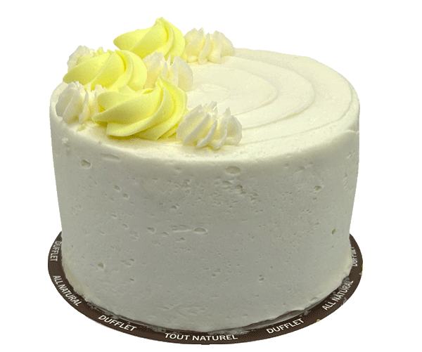 Plant-based Vanilla Cake
