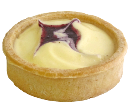 Blueberry Custard Euro Tart