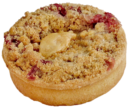 Strawberry Rhubarb Euro Tart