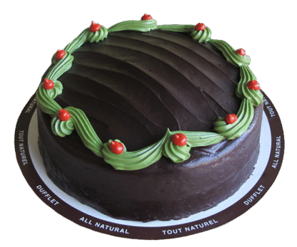 Holiday Chocolate Fudge Single Layer Cake