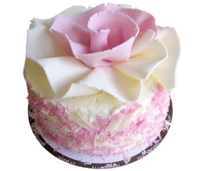 White Chocolate Mousse with Pink Ruffle 6"