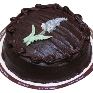 Chocolate Fudge - Purple Hyacinth