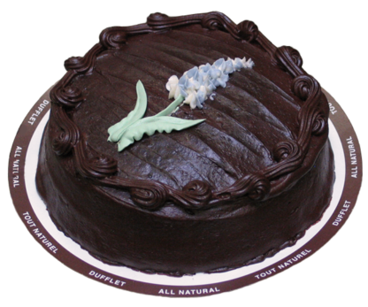 Chocolate Fudge - Purple Hyacinth